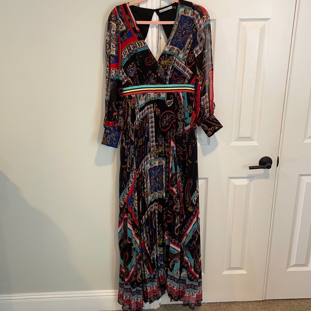 EUC Alice & Olivia Maxi in Royalty Paisley 6